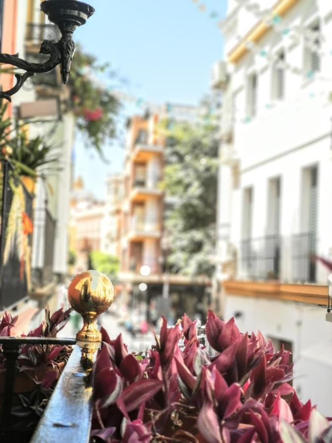 Casa Alfalfa 2 Dormitorios Terraza Y Solarium Privado Севиля Екстериор снимка