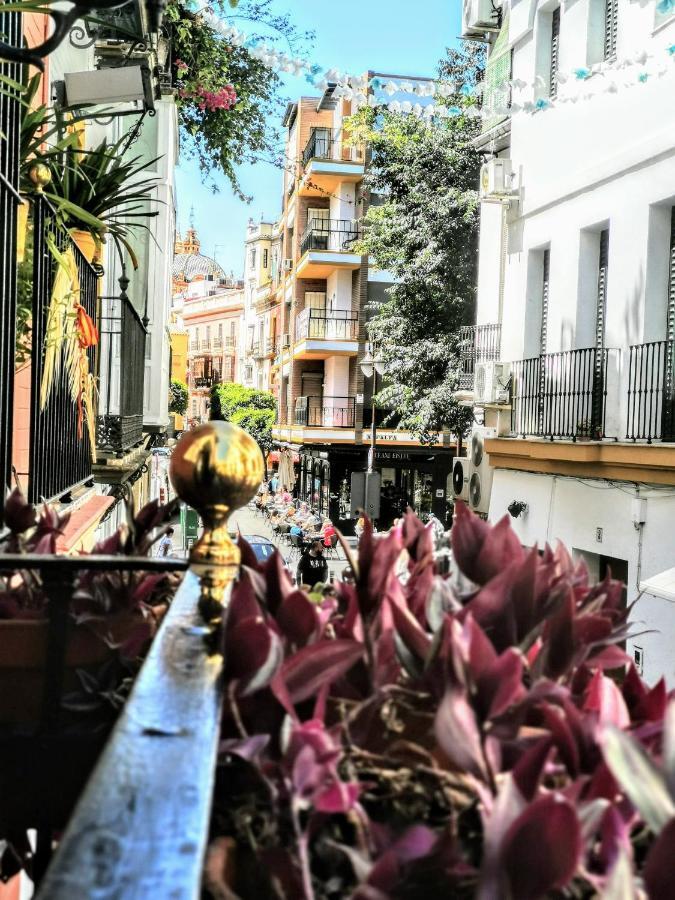 Casa Alfalfa 2 Dormitorios Terraza Y Solarium Privado Севиля Екстериор снимка